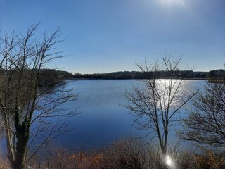 lake in the forest