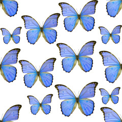 blue colored butterflies isolated on white seamless pattern
