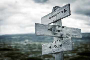search your soul text quote written in wooden signpost outdoors in nature. Moody theme feeling.