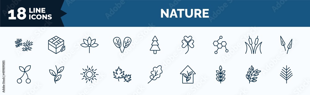 Poster set of nature web icons in outline style. thin line icons such as escuamiforme, plum leaf, chemical 