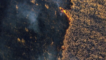 Aerial view Fire extinguishing. Fireman extinguishing burning dry grass. Open flames of fire and...