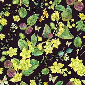 Watercolor Summer Yellow Flowers Seamless Pattern. Botanical Sidr Floral Texture, Vintage Wallpaper