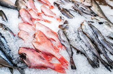 Frozen fish in ice ready for sale - 499892284