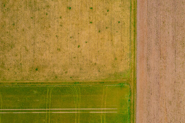 Symmetrie, Linien und Muster von Feldern der Landwirtschaft im ländlichen Raum als Luftaufnahme...