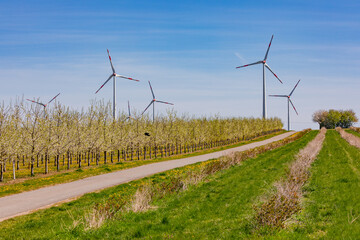 Die riesigen Türme verschiedener Windräder zur Stromerzeugnung für die Energiewende in...