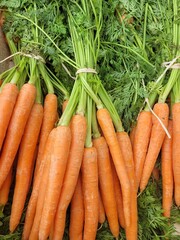 fresh carrots on the market. Vegetables. Healthy food	
