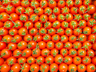 Tomatoes in a box top view. Mobile Photo