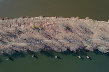 Półwysep nad rzeką Odra w pogodny dzień z drona od góry