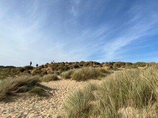 sand dunes on the beach