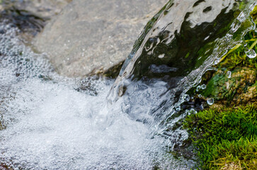 Fototapeta premium The flow of pure spring water. Transparent stream, bubbles, green wet moss.