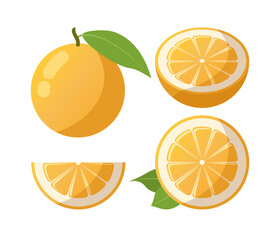 Set of isolated whole orange with leaf and various slices on white background. Juicy fresh orange citrus fruit. Sweet organic products with vitamin C. Stock vector illustration in flat style.