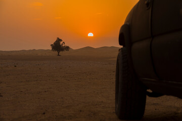 gentle dawn in the desert with a tree in the distance and car silhouettes in the foreground
