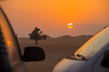 Fototapeta na wymiar gentle dawn in the desert with a tree in the distance and car silhouettes in the foreground 
