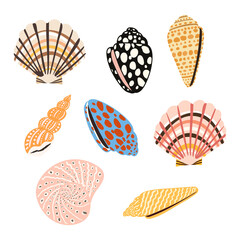Sea shells, fossils and mollusks object set. Summer beach hand-drawn seaside vector print. Fashion bright multicolored illustration. Seashore elements design