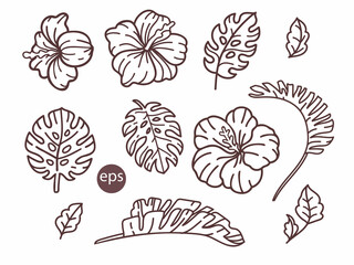 Tropical flowers and leaves: monstera, banana tree leaves, hibiscus. Vector linear illustration