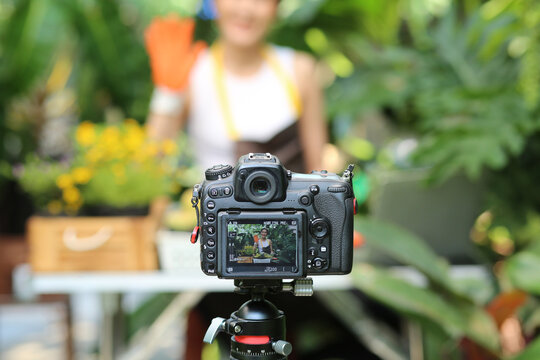 View private images on the camera screen. A young women who owns a cactus garden is filming a video selling plants in her garden.