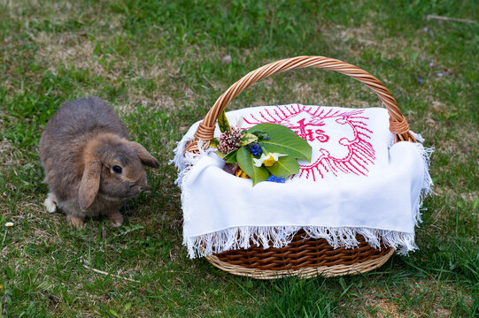 Osterkorb mit Hase 4