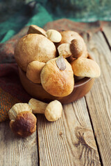 Fresh wild porcini mushrooms in a round bowl on a wooden board