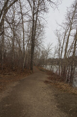 Hiking Trail in Early Spring