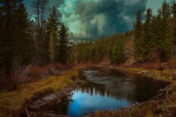 2022-04-19 THE DESCHUTES RIVER LINED WITH EVERGREEN TREES AND A REFLECTION IN THE RIVER AND A CLOUDY SKY