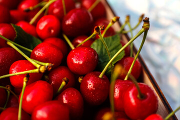 Defocus close-up cropped box, crape of dark red sweet cherries with tail and leaves on white background. Summer fruits and berries. Harvest and crop concept. Organic food. Close-up. Out of focus
