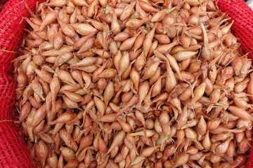 Unpackaged shallot bulbs sold in cloth bags at seed shops, shallot seeds for planting in the garden,
