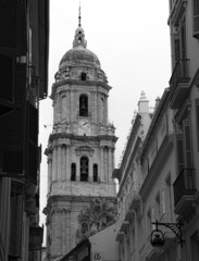 Tower of the Málaga cathedral in black and white (Málaga, Spain)