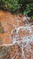 Nascente de uma cachoeira com água, plantas e rochas