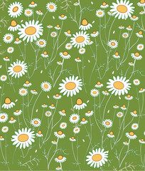 Daisies, grass, greens. Beautiful, modern print. A great option for printing on fabric, packaging. Vector graphics