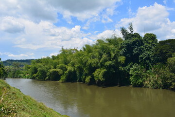 river in the forest