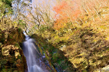 丹沢　畦ヶ丸の本棚の滝
本棚の滝は落差60mもあるダイナミックな滝。早戸大滝、遺言棚と共に丹沢三滝のひとつである。
西丹沢の畦ヶ丸山域の山地にあり、三方向を見上げるほどの絶壁に囲まれたロケーションの場所に豪快な滝が現れる。滝のある場所は観光地ではないので見学を規制する柵などは一切なく、滝の間近まで寄って見物することが可能で、それはもう迫力のある滝を存分に満喫することができるのが特徴。