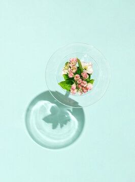 Fototapeta White, pink flowers in a martini glass on sunny day. Minimal concept spring flowers on pastel blue background. Flat lay.
