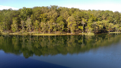 Fototapeta na wymiar Trees reflected in a lake