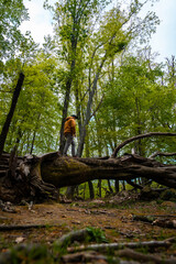 A man on top of a fallen tree next to a beautiful dolmen in the Basque country. Errenteria, Gipuzkoa