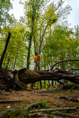 A man on top of a fallen tree next to a beautiful dolmen in the Basque country. Errenteria, Gipuzkoa