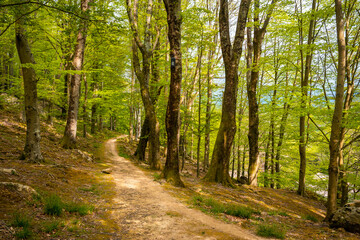 Path to a beautiful dolmen in the Basque country. Errenteria, Gipuzkoa