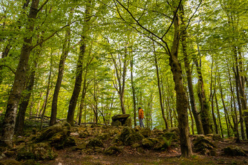 Aitzetako Txabala Dolmen under some trees in the Basque Country. Errenteria, Gipuzkoa