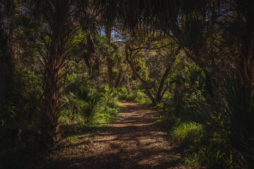 Wooded trail at Lake Lotus nature park in Altamonte Springs, Florida