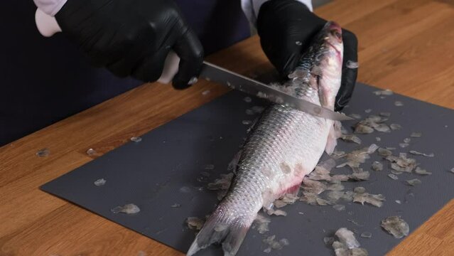 Mullet fish. Peel mullet fish from scales with a sharp knife. Fresh fish cutting process. Unrecognizable cook cleans the fish. Healthy nutrition of seafood.  Healthy food concept, slow motion