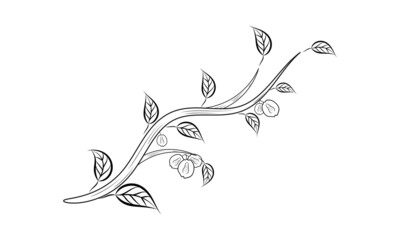 Fototapeta premium Quince fruit coloring page | Vector illustration black and white line art coloring page.
