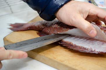 魚をさばく