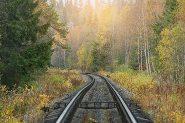 Fototapeta premium Long railway line in the forest at autumn day.