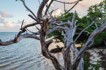 Anne’s Beach in Islamorada, Florida in the Florida Keys, USA.