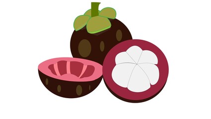 Vector purple mangosteen fruit on a white background