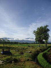 Obraz premium beautyful cemetary