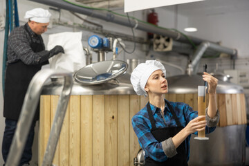 Focused skilled young female brewery worker using digital hydrometer for measuring craft beer density..
