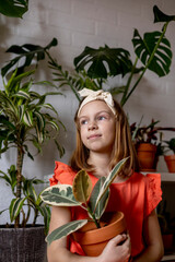 Teenage girl in coral dress sits in room and holds ficus in her hands.