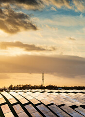 UK Solar Park and electricity pylon,at sunset,vibrant golden sunlight reflecting from panels,Hampshire,England,United Kingdom.