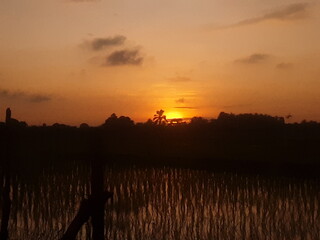 Obraz premium sunset over the river