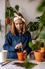 Teenage girl in denim overalls pours earth into clay pot. Indoor ficus. Montessori education.